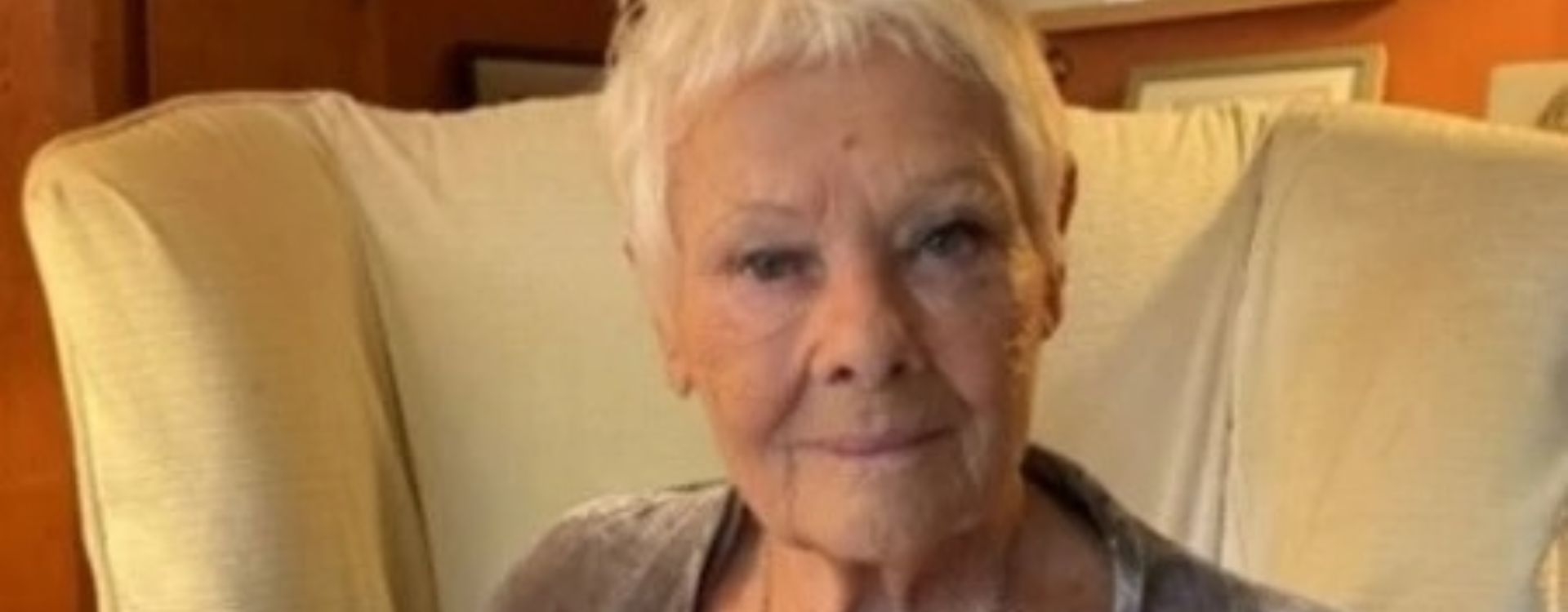 Dame Judi Dench creates stunning painting for local hospice